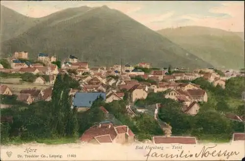 Ansichtskarte Bad Harzburg Stadtpartie - colorierte AK 1902