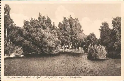 Postcard Tabgha Feigenquelle Deutsches Hospiz 1922  Israel