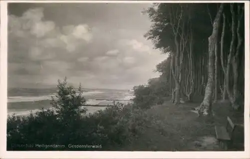 Ansichtskarte Heiligendamm-Bad Doberan Ostsee Gespensterwald - Fotokarte 1942