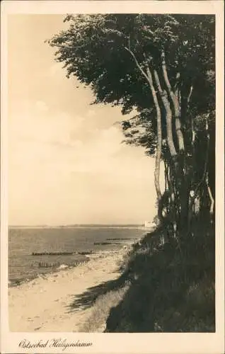 Ansichtskarte Heiligendamm-Bad Doberan Strand, Gespensterwald - Kurhaus 1930