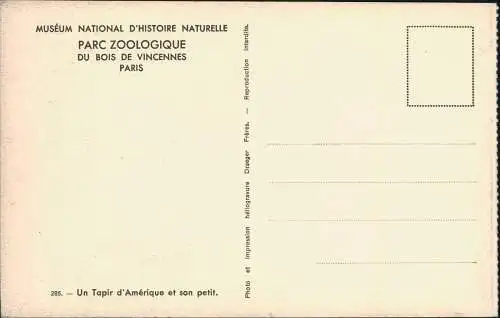 CPA Paris Parc Zoologique du Bois de Vincennes Tapir 1929