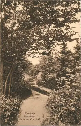 Ansichtskarte Kreischa Partie aus dem Park Sanatorium 1925