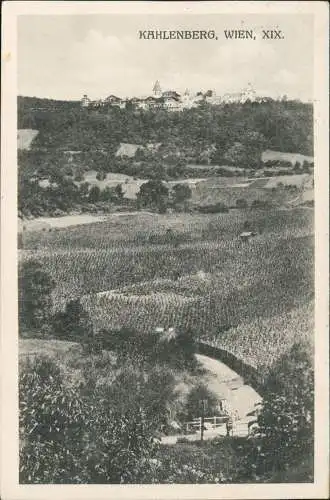 Ansichtskarte Döbling-Wien Kahlenberg, Weinberge 1924 gel. Infla Frankatir