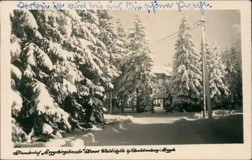 Waldidylle-Altenberg (Erzgebirge) Fremdenhof Waldidylle im Winter 1952