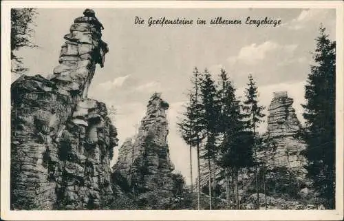 Ansichtskarte Ehrenfriedersdorf Greifensteine 1940