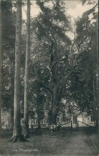 Ansichtskarte Morbach Im Pflanzgarten Kinder 1918