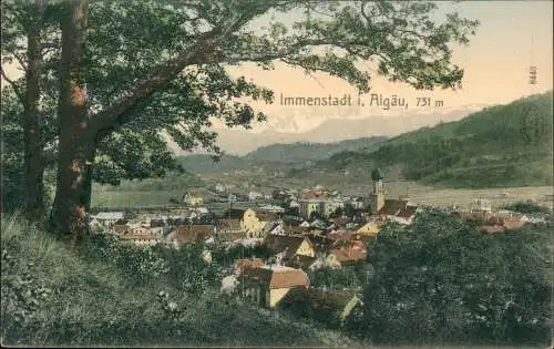 Ansichtskarte Immenstadt (Allgäu) Stadtblick colorierte AK 1912