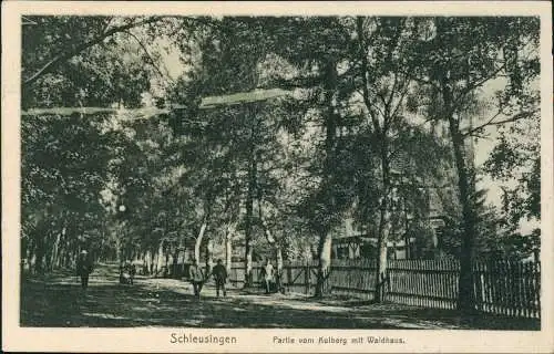 Ansichtskarte Schleusingen Partie vom Kolberg mit Waldhaus. 1920