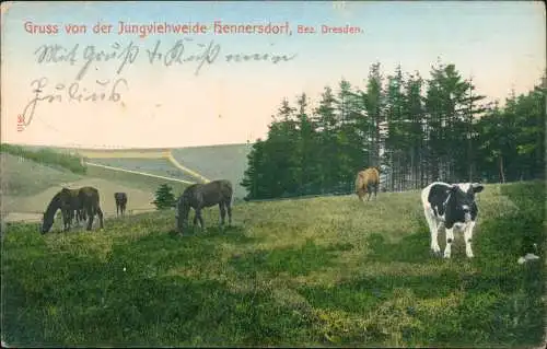 Hennersdorf-Augustusburg Erzgebirge Jungvieh Weide Erzgebirge 1909