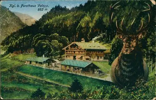 Ansichtskarte Rottach-Egern 2 Bild Forsthaus Valepp und Hirsch 1914