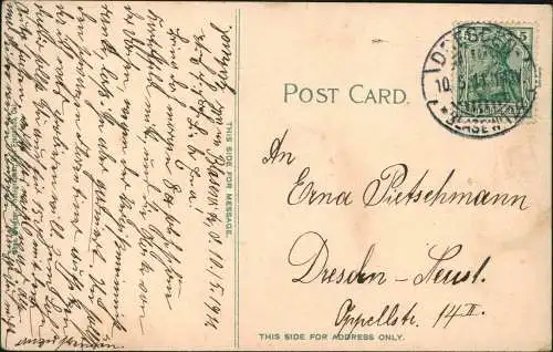 San Francisco Chinese Family Lost Their home Through Fire 1905  California