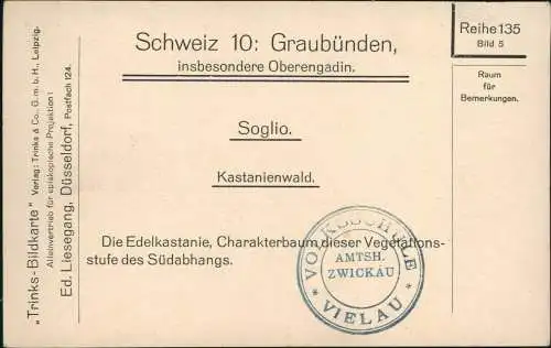 Ansichtskarte Soglio GR Kastanienwald 1918