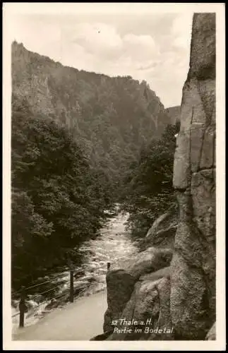 Ansichtskarte Treseburg Partie im Bodetal, Fluss Partie 1940