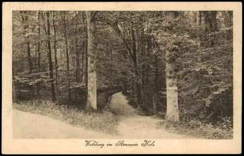 Ansichtskarte Ganderkesee Waldweg im Stenumer Holz 1915