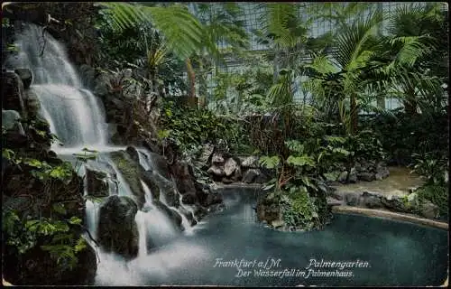 Frankfurt am Main Der Wasserfall im Palmenhaus. Palmengarten 1908