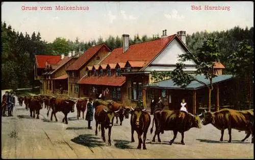 Bad Harzburg Molkenhaus Viehabtrieb Molkenhaus Harz Künstlerkarte 1913