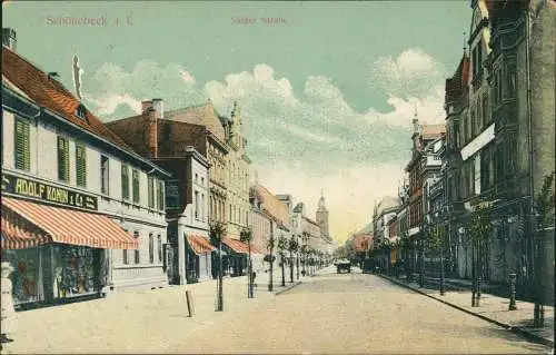 Ansichtskarte Schönebeck (Elbe) Salzerstraße 1912