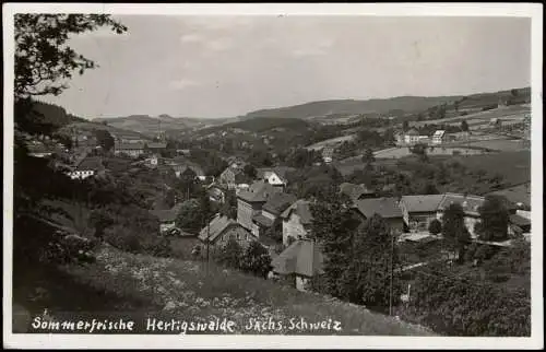 Ansichtskarte Hertigswalde-Sebnitz Stadtpartie 1938