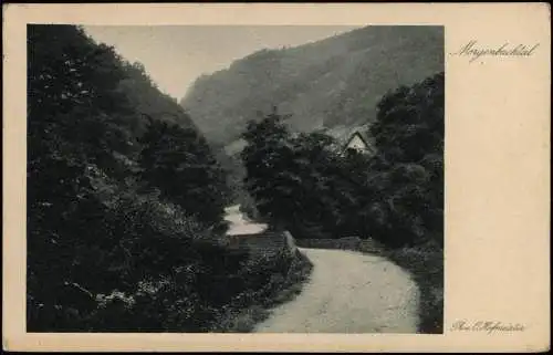 Ansichtskarte Bingen am Rhein Morgenbachtal Serie am Rhein 1932