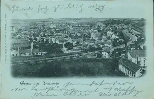 Ansichtskarte Roßwein Mondscheinlitho Bahnhof Fabriken Stadt 1901