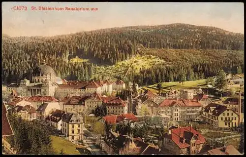 Ansichtskarte St. Blasien vom Sanatorium aus 1912