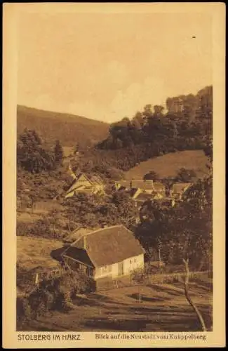 Stolberg (Harz) Umlandansicht Blick auf die Neustadt vom Knüppelberg 1920