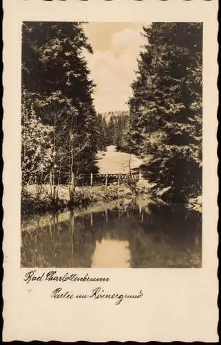 Bad Charlottenbrunn Jedlina-Zdrój  Römergrund 1935  b. Waldenburg Schlesien