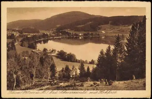 Ansichtskarte Titisee Titisee mit Hochfirst. 1924