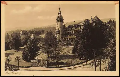 Postcard Bad Flinsberg Świeradów-Zdrój Partie am Kurhaus 1928