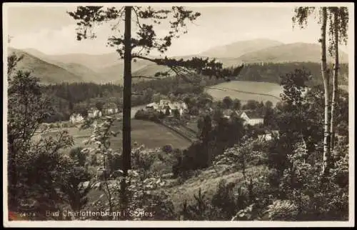 Postcard Bad Charlottenbrunn Jedlina-Zdrój Panorama-Ansicht 1930