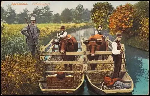 Lübbenau (Spreewald) Lubnjow Spreewald Viehtransport auf Kahn Typen 1922