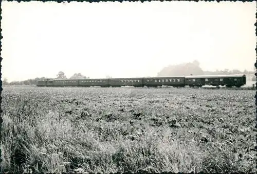 Verkehr Eisenbahn Zug Lokomotive Leipzig Pretzsch Express 1968 Privatfoto Foto