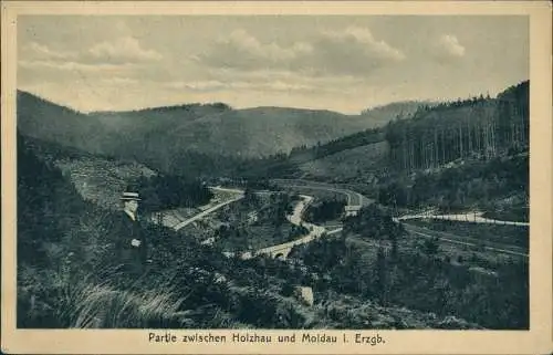 Postcard Moldau Moldava Straße Holzhau Erzgebirge 1924