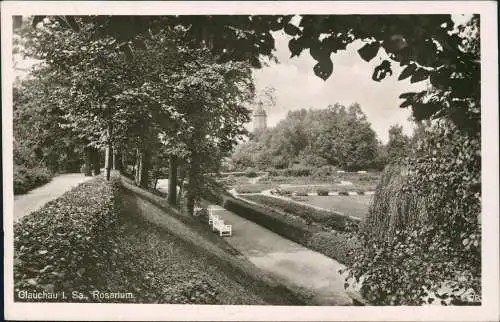 Ansichtskarte Glauchau Rosarium 1944