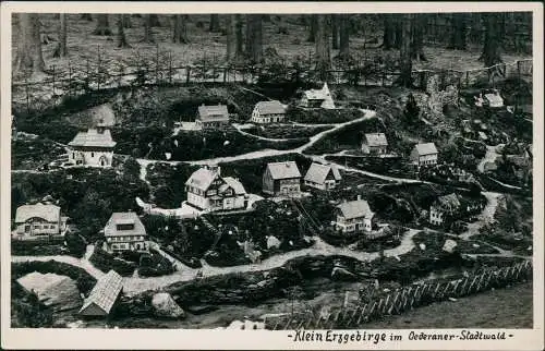 Ansichtskarte Oederan Klein Erzgebirge im Oederaner-Stadtwald x 1930