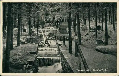 Ansichtskarte Hohwald (Sachsen) Waldweg - Fluß b. Neustadt Sachsen 1930