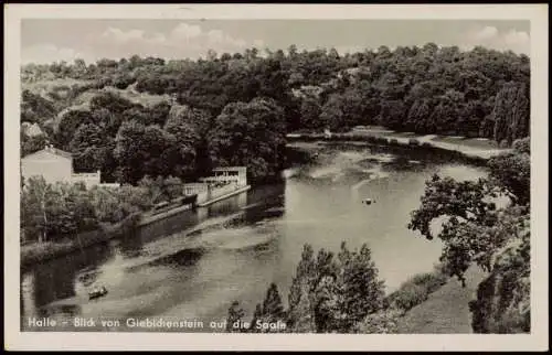 Halle (Saale) Panorama-Ansicht Blick von Giebichenstein auf die Saale 1954