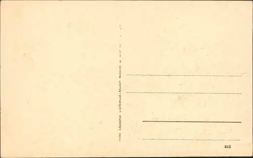 Kuriositäten Emmy das schwerste Mädchen der Gegenwart Zeitgeschichte 1912