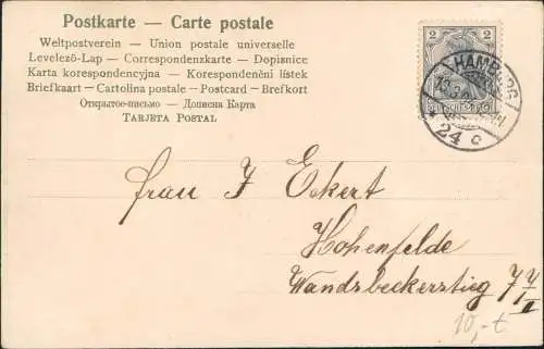 Ansichtskarte  Frau in Kleid Trachten/Typen 1904  gel. Stempel Hamburg