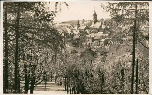 Ansichtskarte Roßwein Blick durch die Bäume auf die Stadt 1932