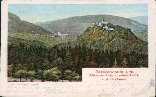 Ansichtskarte Schwarzburg Schloss mit Hotel z. weissen Hirsch 1906