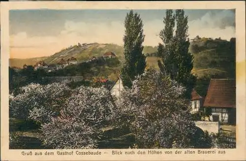 Cossebaude-Dresden Gruß aus dem Gasthof Cossebaude alte Brauerei 1925