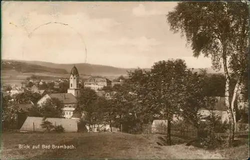 Ansichtskarte Bad Brambach Blick auf die Stadt 1925