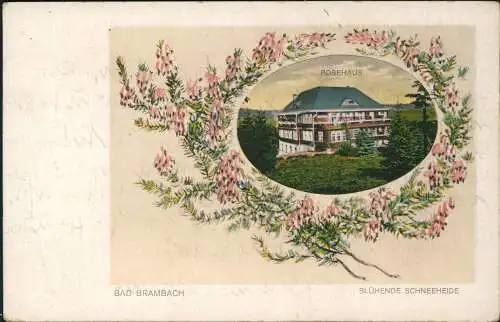 Ansichtskarte Bad Brambach Bosehaus - Blühende Schneeheide 1924