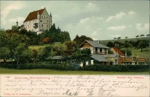 Ansichtskarte Mindelheim Schloß Mindelburg Haus und Garten 1908