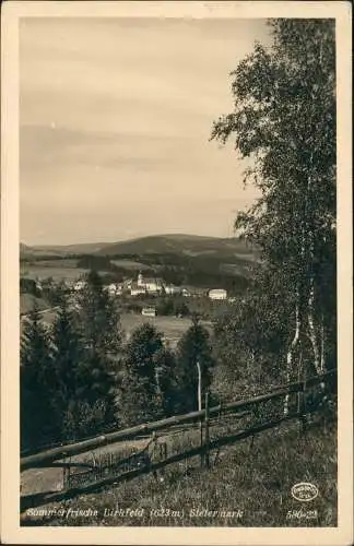 Ansichtskarte Birkfeld Steiermark Partie an der Stadt 1938