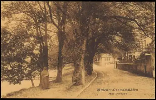 Bad Malente-Gremsmühlen-Malente Dieksee, Uferparte, Allee, Frau zu sehen 1910