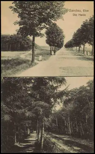 Ansichtskarte Sandau (Elbe) Straßen, Heide (2-Bild-Karte) 1920