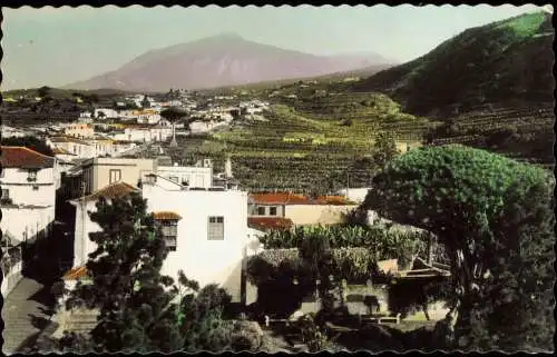 Icod de los Vinos Vista pareta, Vue Partielle, Orts-Panorama 1950