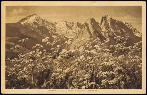 Ansichtskarte Garmisch-Partenkirchen Sommerbild Blumen Berggipfel Alpen 1924